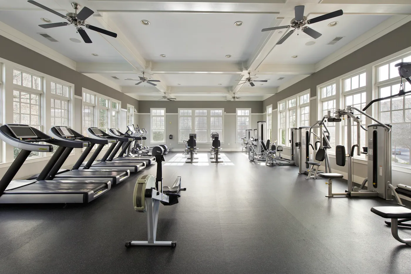 Bright home gym with treadmills, ellipticals and weight machines in daylight from large windows, temporary category photograph